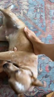 Olga Shelest feet photo 6