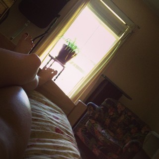 Olivia Luccardi feet photo 16