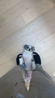 Olivia O'Brien feet photo 11