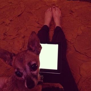 Olivia Taylor Dudley feet photo 18