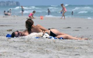 Olivia Wilde feet photo thumbnail