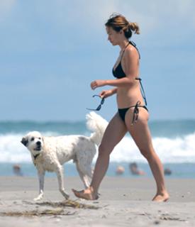 Olivia Wilde feet photo thumbnail