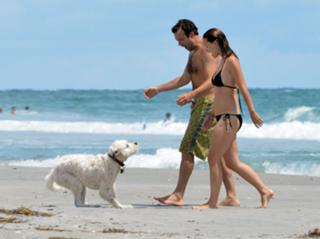 Olivia Wilde feet photo thumbnail