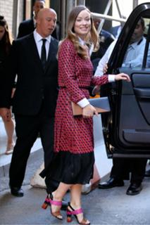 Olivia Wilde feet photo thumbnail