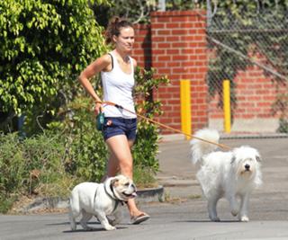 Olivia Wilde feet photo thumbnail