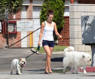 Olivia Wilde feet photo thumbnail