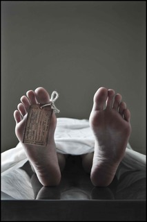 Olwen Catherine Kelly feet photo 3