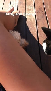 Olympia Valance feet photo 2
