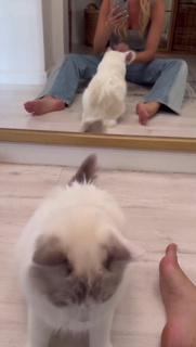 Omer Nudelman feet photo thumbnail