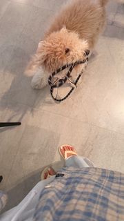 Omer Nudelman feet photo 1