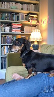 Ophelia Lovibond feet photo thumbnail