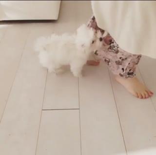 Ornella Muti feet photo thumbnail