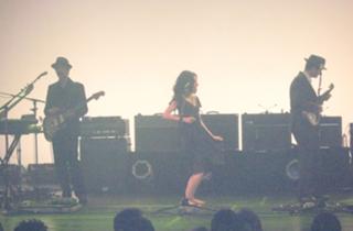 PJ Harvey feet photo 15