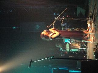 PJ Harvey feet photo 8
