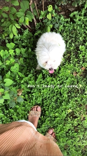 Paavni Kataria feet photo 2