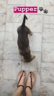 Paavni Kataria feet photo 3