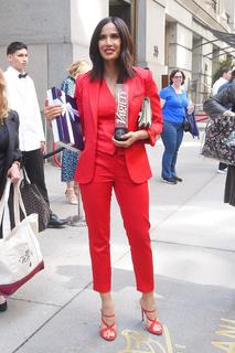 Padma Lakshmi feet photo thumbnail