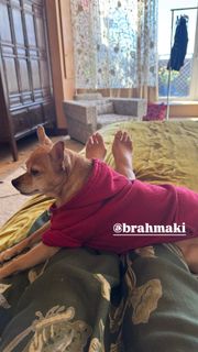 Padma Lakshmi feet photo 1