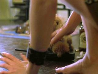 Paget Brewster feet photo thumbnail