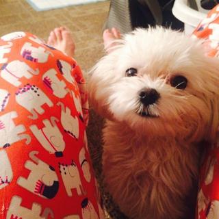 Paige Davis feet photo 11