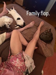 Paige Davis feet photo 1