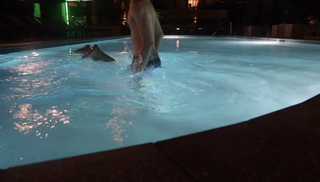 Paige Taylor feet photo 10