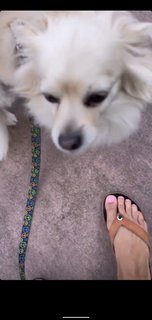 Paige VanZant feet photo thumbnail