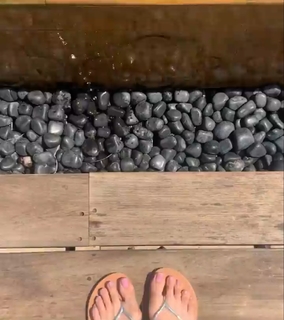 Palak Purswani feet photo 19