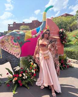 Palak Purswani feet photo 20