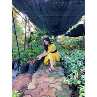 Palak Sidhwani feet photo 5