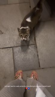 Palak Sidhwani feet photo 19