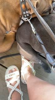 Palina Rojinski feet photo thumbnail