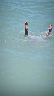 Paloma Bernardi feet photo thumbnail