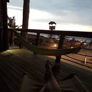 Paloma Fiuza feet photo 17