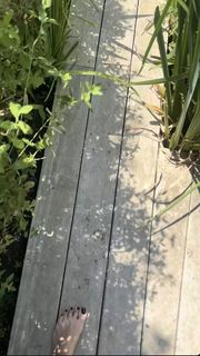 Paloma Mami feet photo 16