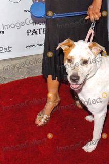 Pam Grier feet photo thumbnail