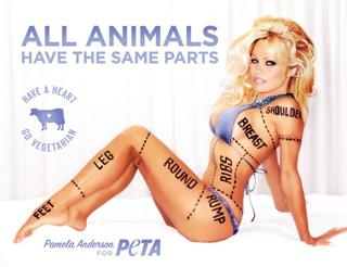 Pamela Anderson feet photo thumbnail