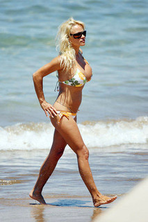 Pamela Anderson feet photo thumbnail