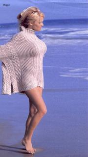Pamela Anderson feet photo thumbnail