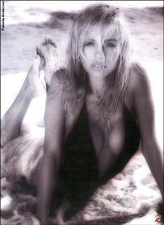Pamela Anderson feet photo thumbnail