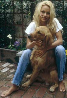 Pamela Anderson feet photo thumbnail