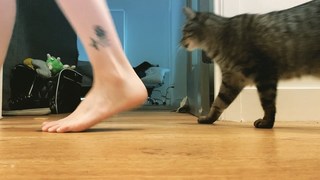 Pamela Horton feet photo 20