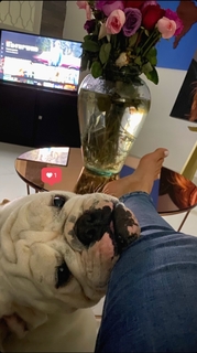 Pamela Longoria feet photo 15