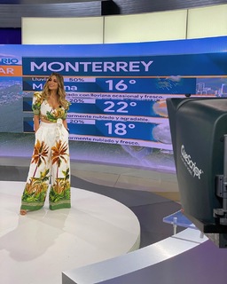 Pamela Longoria feet photo 10