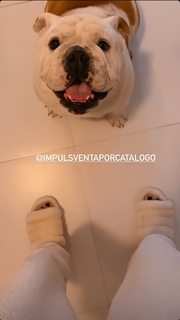 Pamela Longoria feet photo 6