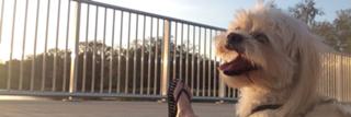 Pamela Martinez feet photo thumbnail