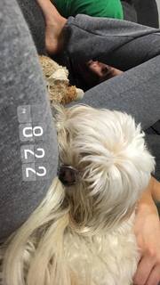 Pamela Martinez feet photo thumbnail