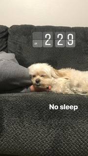 Pamela Martinez feet photo thumbnail