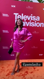 Pamela Silva Conde feet photo thumbnail