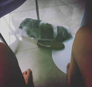 Pamela Tomé feet photo 13